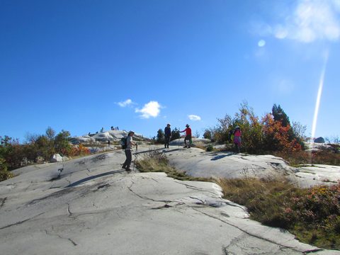 Photo from Thanksgiving in Killarney Park