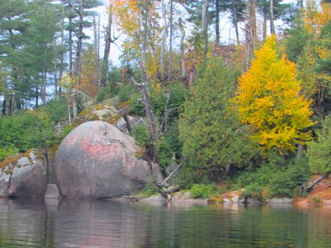 Photo from Thanksgiving in Killarney Park