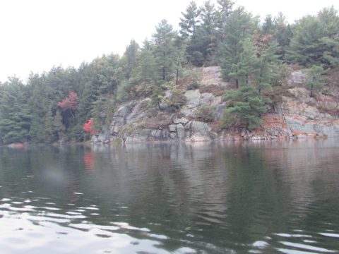 Photo from Thanksgiving in Killarney Park