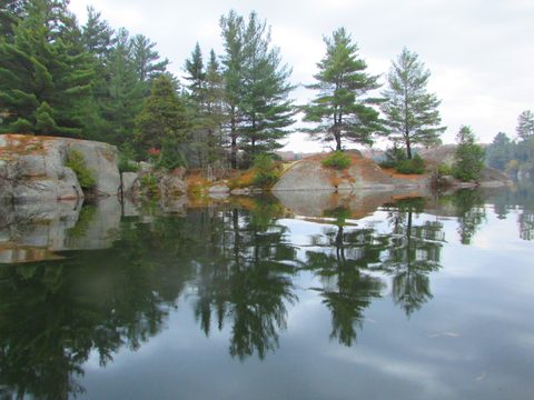 Photo from Thanksgiving in Killarney Park