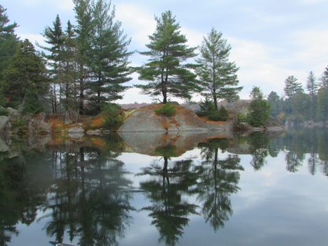 Photo from Thanksgiving in Killarney Park
