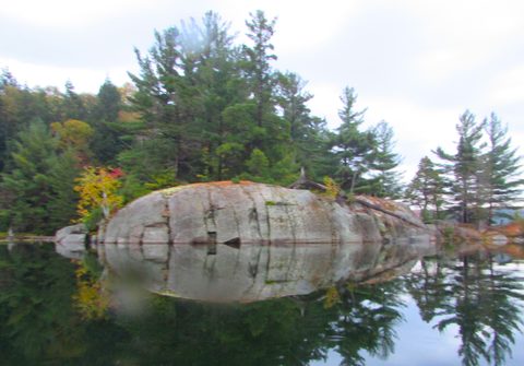 Photo from Thanksgiving in Killarney Park