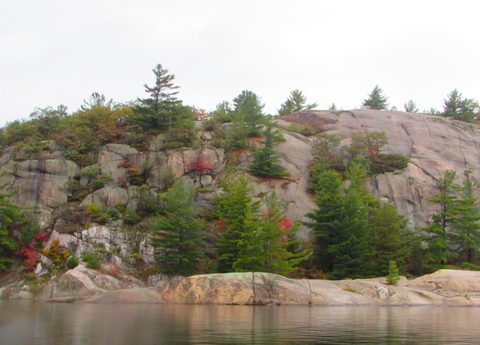 Photo from Thanksgiving in Killarney Park