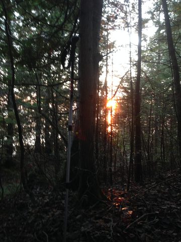 Photo from Winter Tune Up Hike/Snowshoe To Reeds Dump, Lions Head