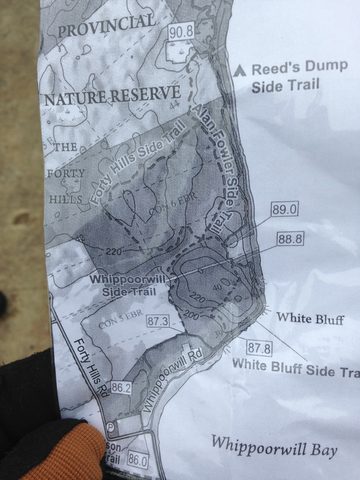 Photo from Winter Tune Up Hike/Snowshoe To Reeds Dump, Lions Head