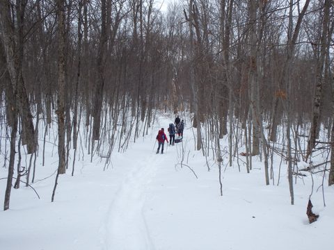 Photo from Minnesing Trail: 3 days winter camping