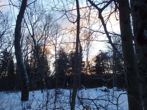Photo from Minnesing Trail: 3 days winter camping