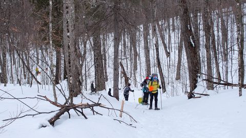 Photo from Minnesing Trail: 3 days winter camping