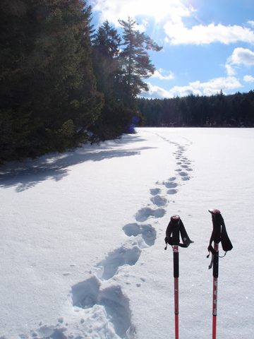 Photo from Minnesing Trail: 3 days winter camping