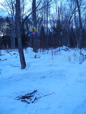 Photo from Minnesing Trail: 3 days winter camping