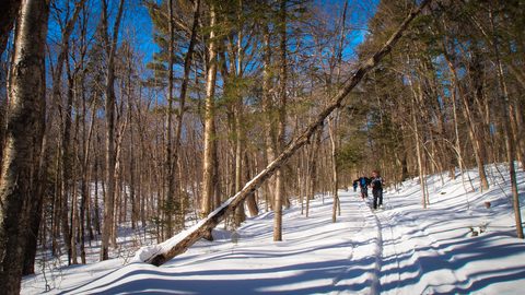 Photo from Minnesing Trail: 3 days winter camping