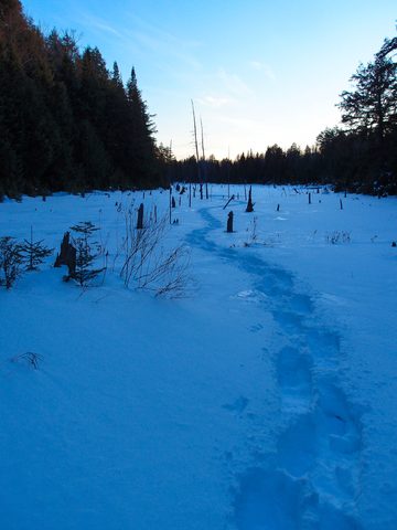 Photo from Minnesing Trail: 3 days winter camping