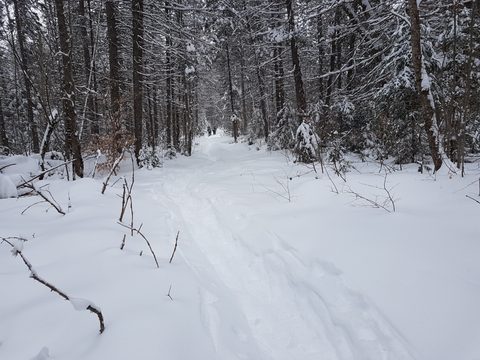 Photo from Beginners Winter Backpacking Course