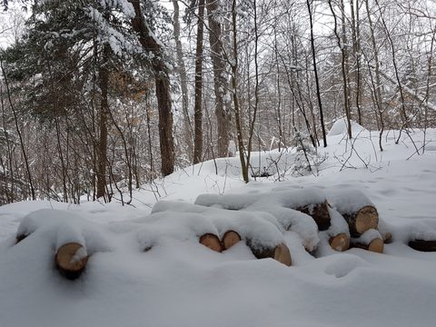 Photo from Beginners Winter Backpacking Course