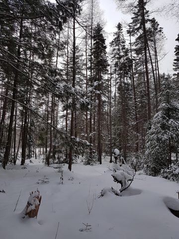 Photo from Beginners Winter Backpacking Course