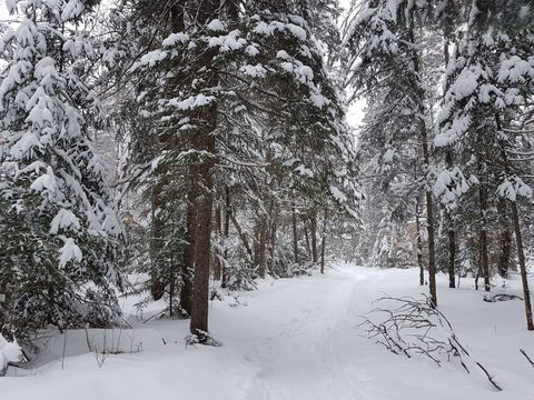 Photo from Beginners Winter Backpacking Course
