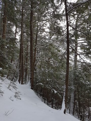 Photo from Beginners Winter Backpacking Course