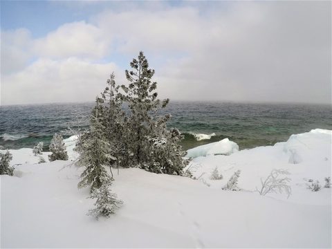 Photo from Snowshoeing From Cyprus Lake To Stormhaven