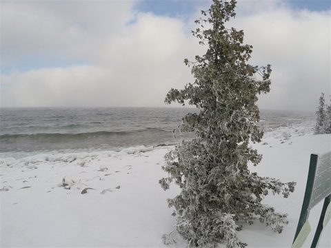 Photo from Snowshoeing From Cyprus Lake To Stormhaven