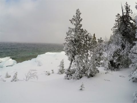 Photo from Snowshoeing From Cyprus Lake To Stormhaven