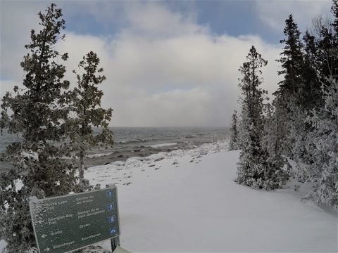 Photo from Snowshoeing From Cyprus Lake To Stormhaven