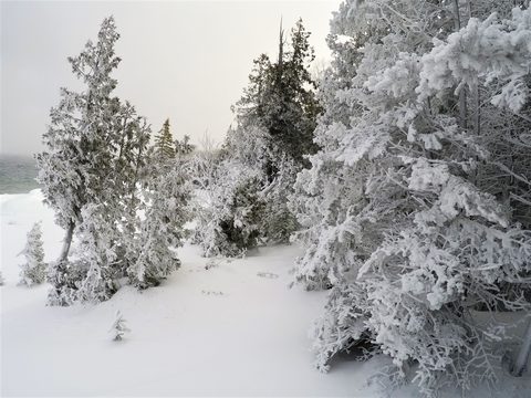Photo from Snowshoeing From Cyprus Lake To Stormhaven