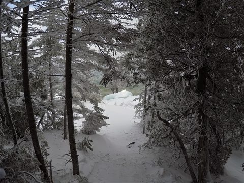 Photo from Snowshoeing From Cyprus Lake To Stormhaven