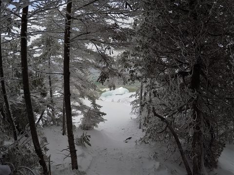 Photo from Snowshoeing From Cyprus Lake To Stormhaven