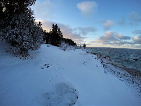 Photo from Snowshoeing From Cyprus Lake To Stormhaven