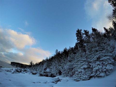 Photo from Snowshoeing From Cyprus Lake To Stormhaven