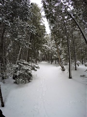 Photo from Snowshoeing From Cyprus Lake To Stormhaven