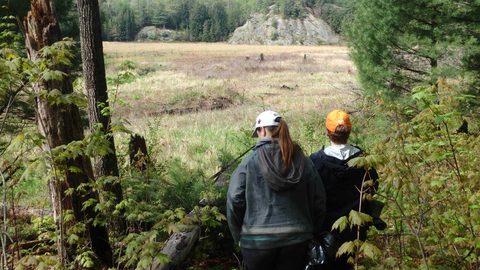 Photo from Killarney Spring Cleanup
