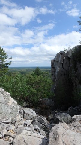 Photo from Killarney Spring Cleanup