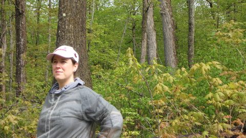 Photo from Killarney Spring Cleanup