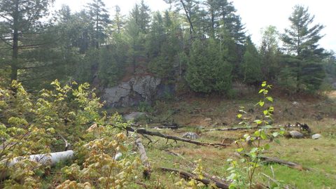 Photo from Killarney Spring Cleanup