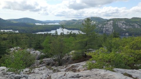 Photo from Killarney Spring Cleanup