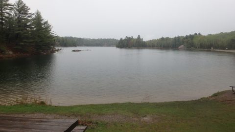 Photo from Killarney Spring Cleanup