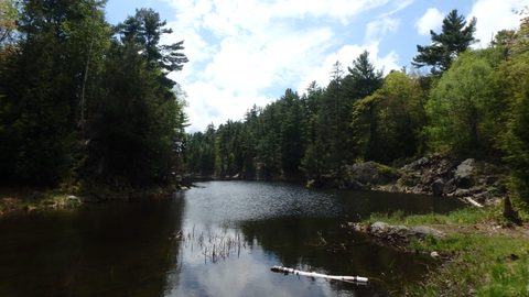 Photo from Killarney Spring Cleanup
