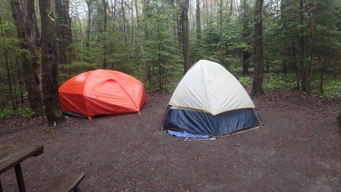 Photo from Killarney Spring Cleanup