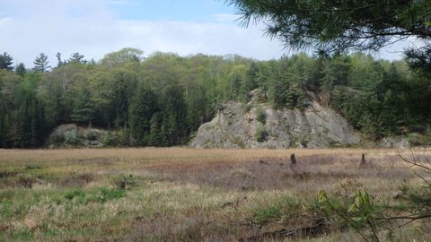 Photo from Killarney Spring Cleanup
