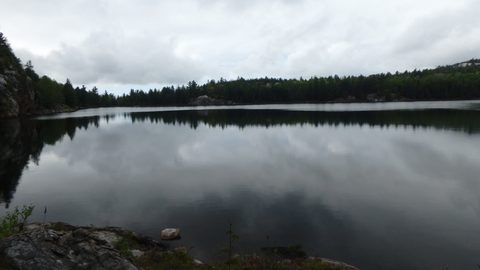 Photo from Killarney Spring Cleanup