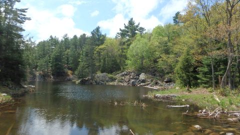 Photo from Killarney Spring Cleanup