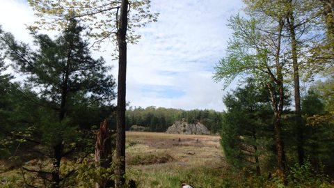 Photo from Killarney Spring Cleanup