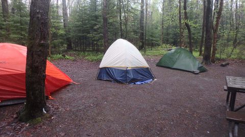 Photo from Killarney Spring Cleanup