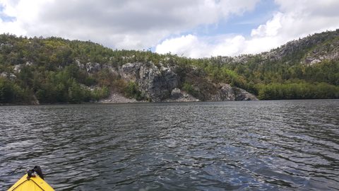 Photo from Killarney Spring Cleanup