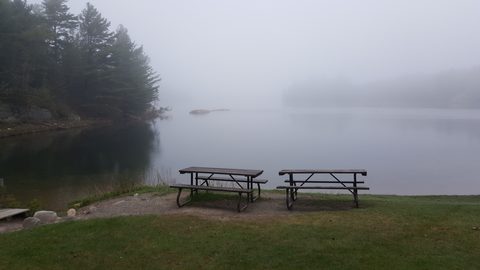 Photo from Killarney Spring Cleanup