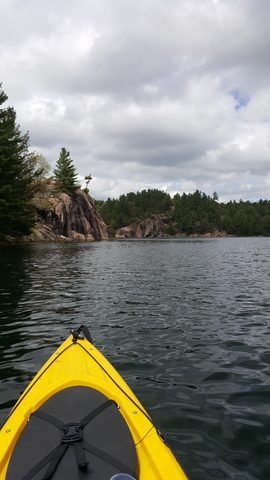 Photo from Killarney Spring Cleanup