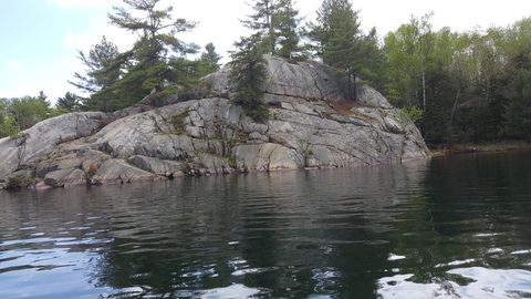 Photo from Killarney Spring Cleanup