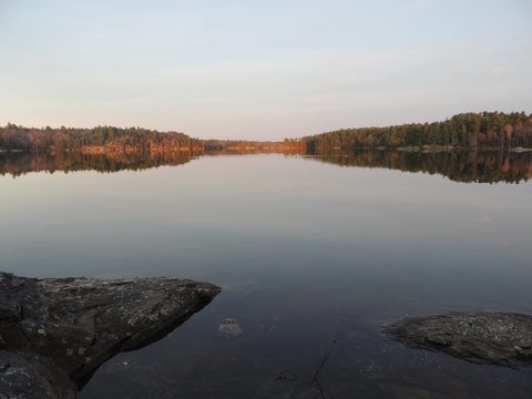 Photo from McCrae Lake Spring Cleanup