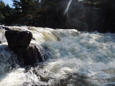 Photo from McCrae Lake Spring Cleanup